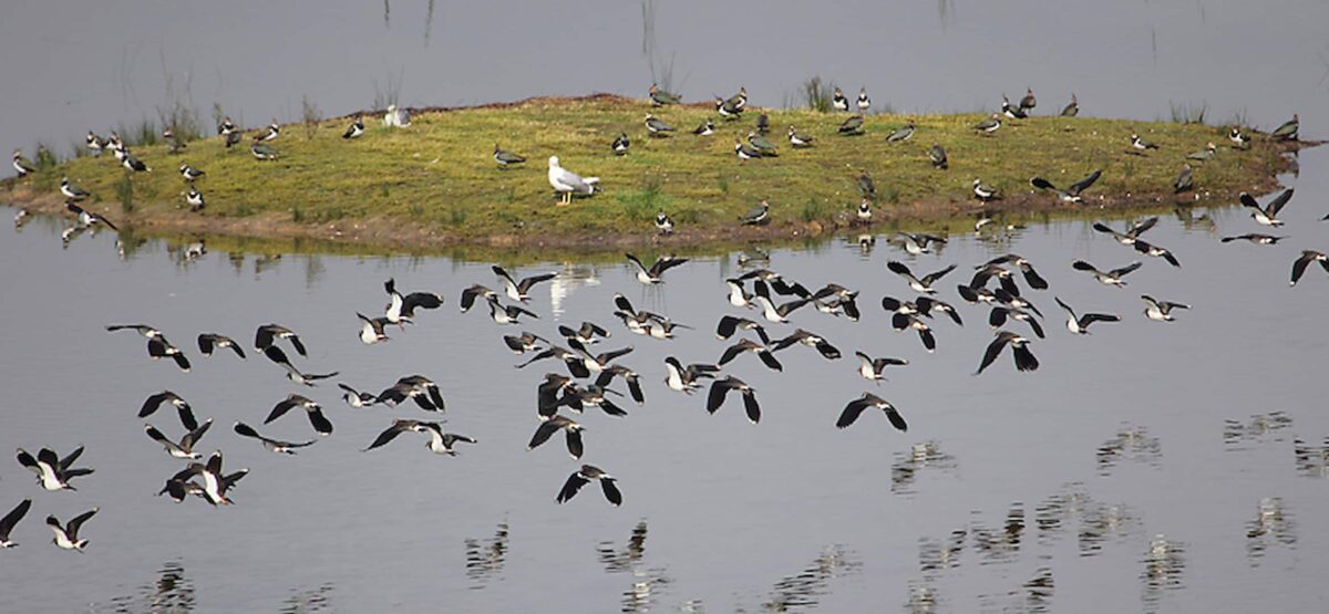 reserva urdaibai