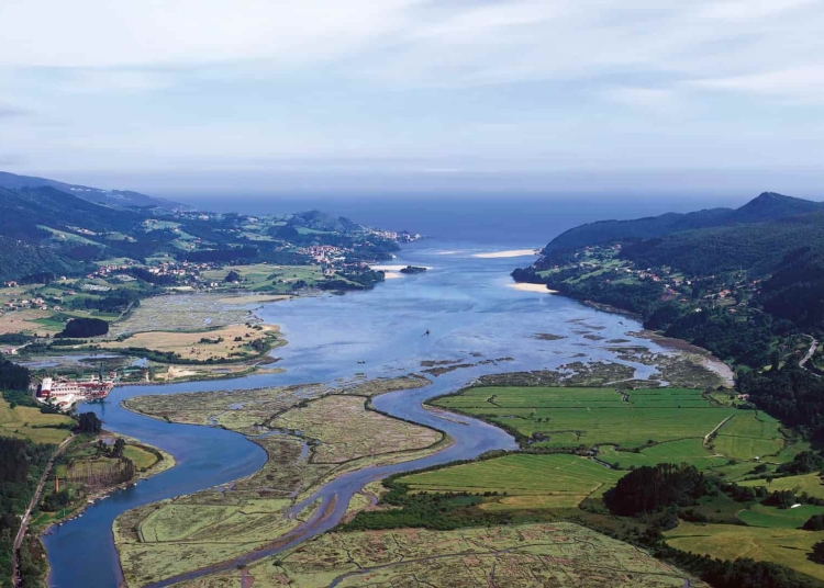 reserva urdaibai