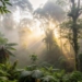 El Amazonas, la selva tropical más grande del mundo