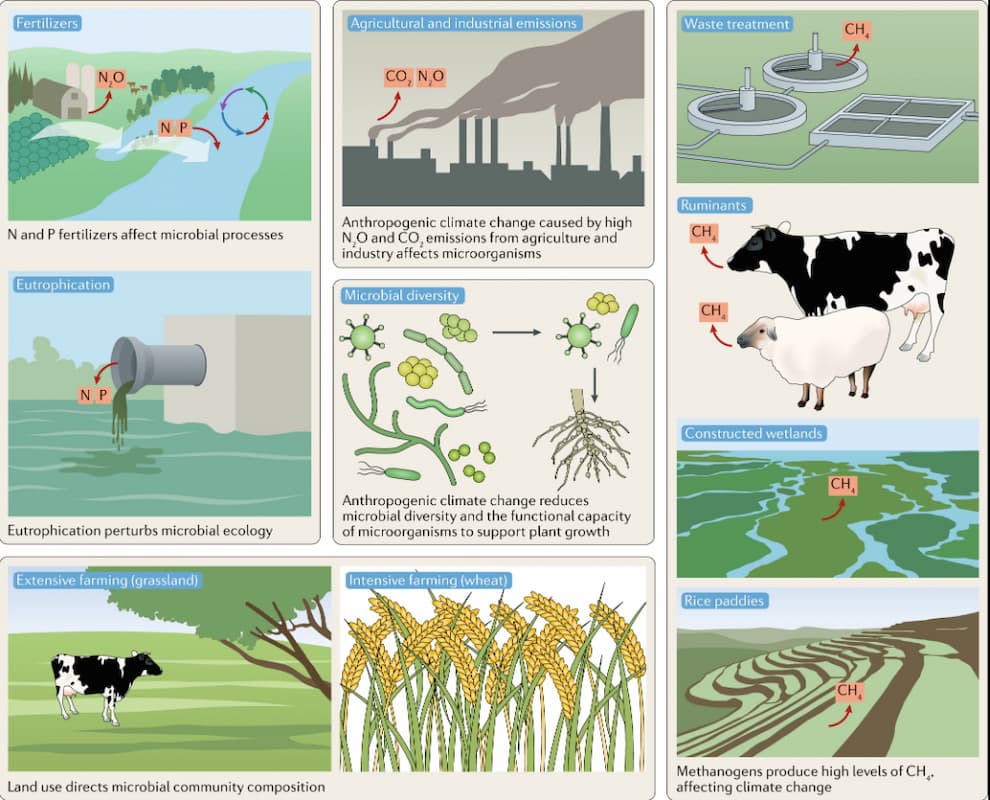 Microbiologos crisis climatica microbios