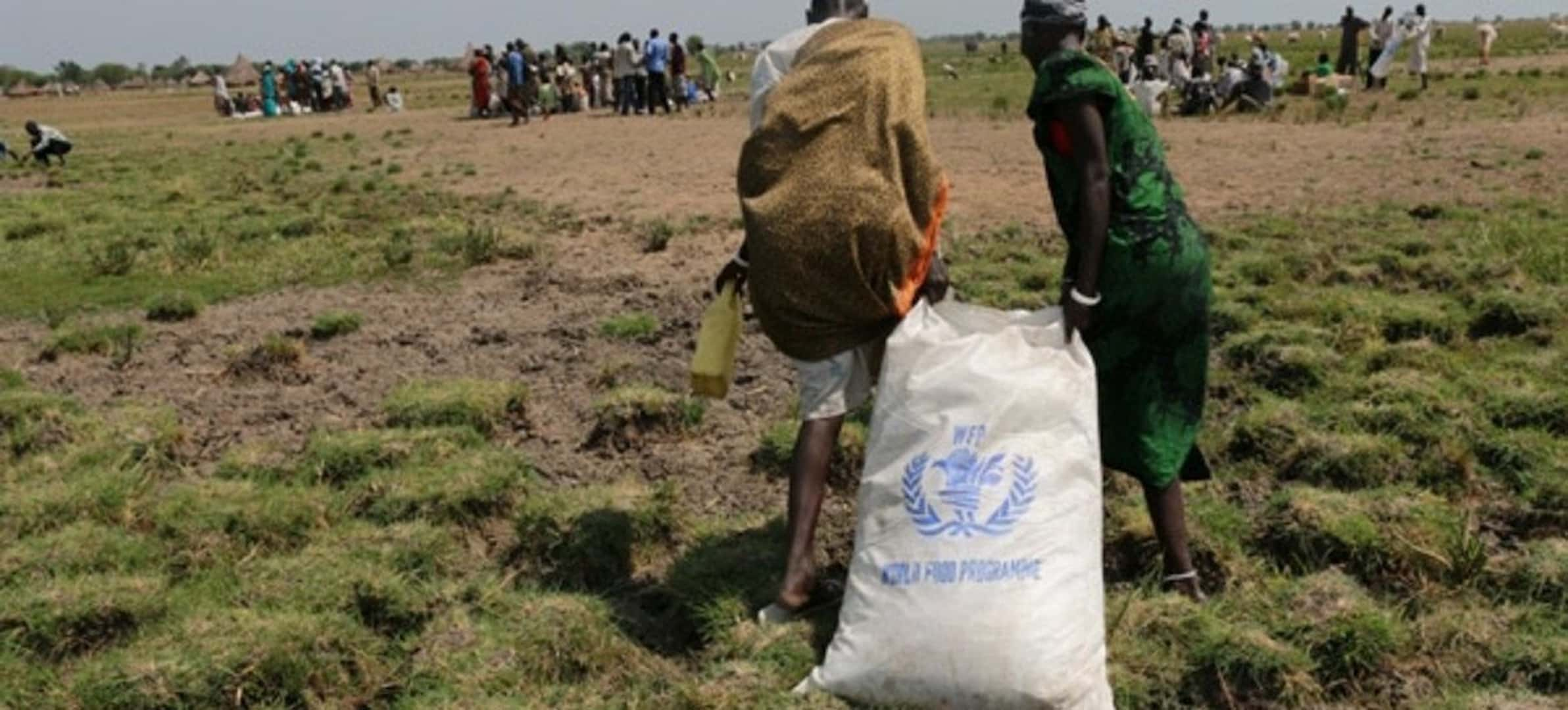 programa mundial de alimentos en problemas