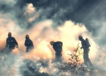 10 millones de hectáreas fueron arrasadas por el fuego en Bolivia en 2024