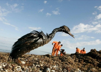 derrame mar negro