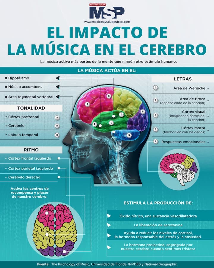 musica habla humana desarrollo comunicacion