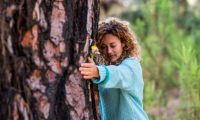 arboles cambio climatico